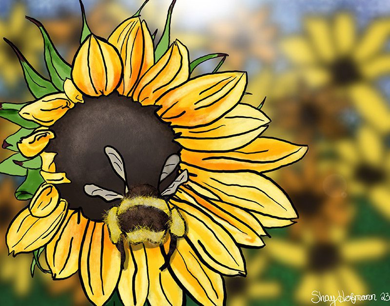 Bee Butt 11x14 Poster Print - Image 2